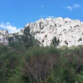 Paysage de l'Ayde avec une falaise en pierre claire qui surplombe une forêt