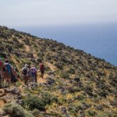 Groupe de randonneurs sur un entier en train de descendre une montagne avec la mer en contrebas