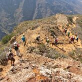 Groupe de randonneurs sur un sentier qui descend une montagne dans les canaries