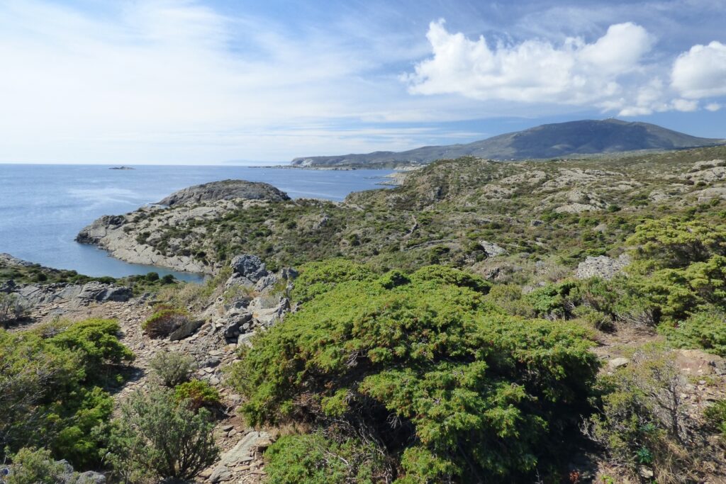 Paysage de la côte avec un paysage verdoyant, paysage estival