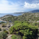 Paysage de la côte avec un paysage verdoyant, paysage estival