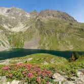 Paysage montagnard à Cauterets encadré de sommets et de végétation