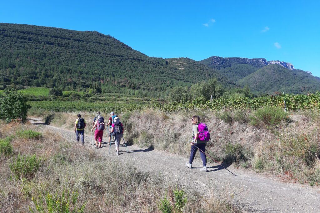 groupe de randonneurs sur un sentier avec un paysage montagnard autour