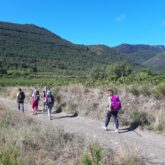 groupe de randonneurs sur un sentier avec un paysage montagnard autour