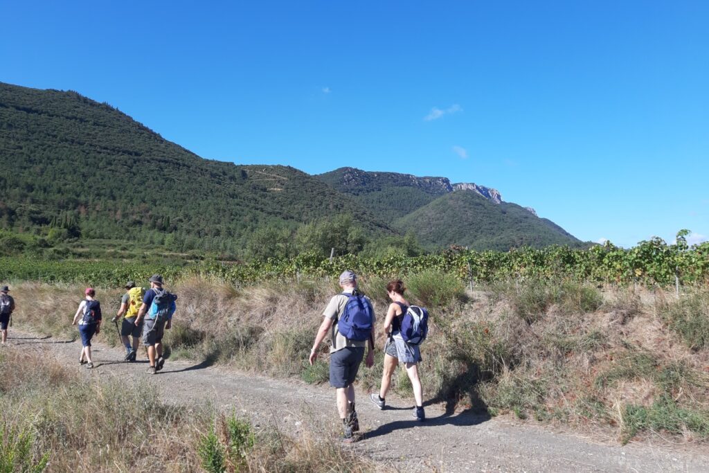 Chemin de randonnée avec un groupe de randonneurs lors d'un séjour libéré, non accompagné, sur le sentier cathare