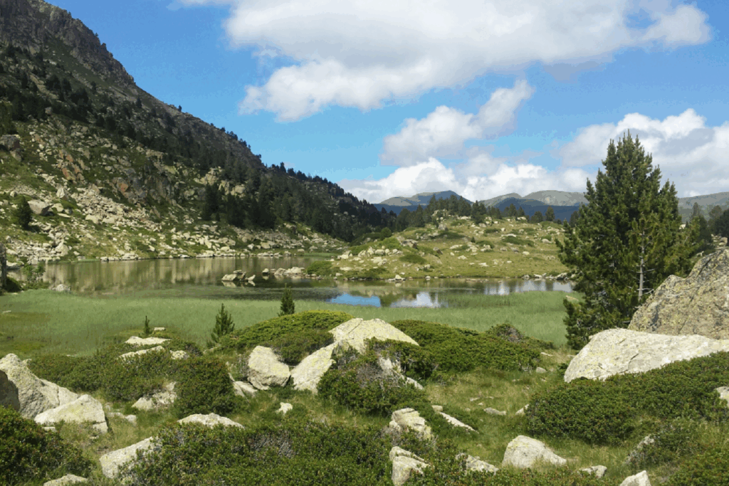 Paysage de montagne avec un lac encadré d'arbres et de sommets
