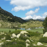 Paysage de montagne avec un lac encadré d'arbres et de sommets