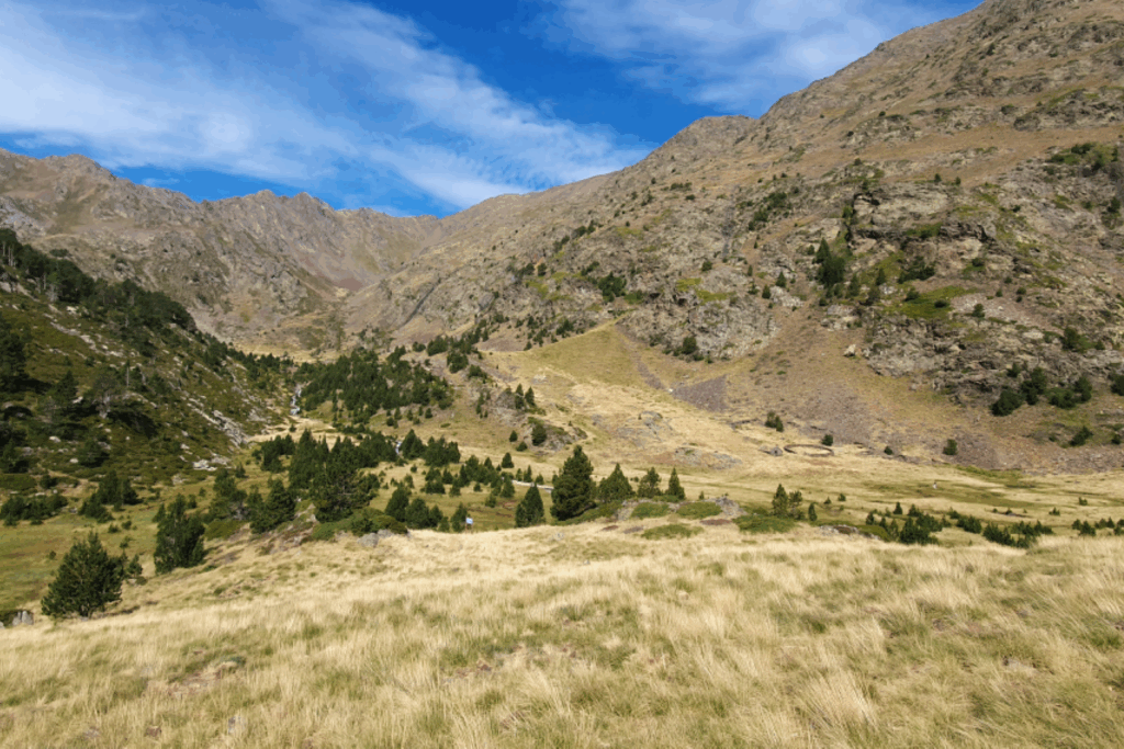 Paysage d'une plaine en montagne où l'on voit en arrière-plan une montagne avec une forêt au pied de cette dernière.