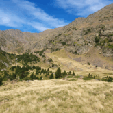 Paysage d'une plaine en montagne où l'on voit en arrière-plan une montagne avec une forêt au pied de cette dernière.