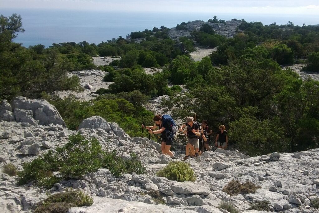 Groupe de randonneurs en Sardaigne sur un sentier avec la mer en fond et des arbres caractéristiques de la Sardaigne