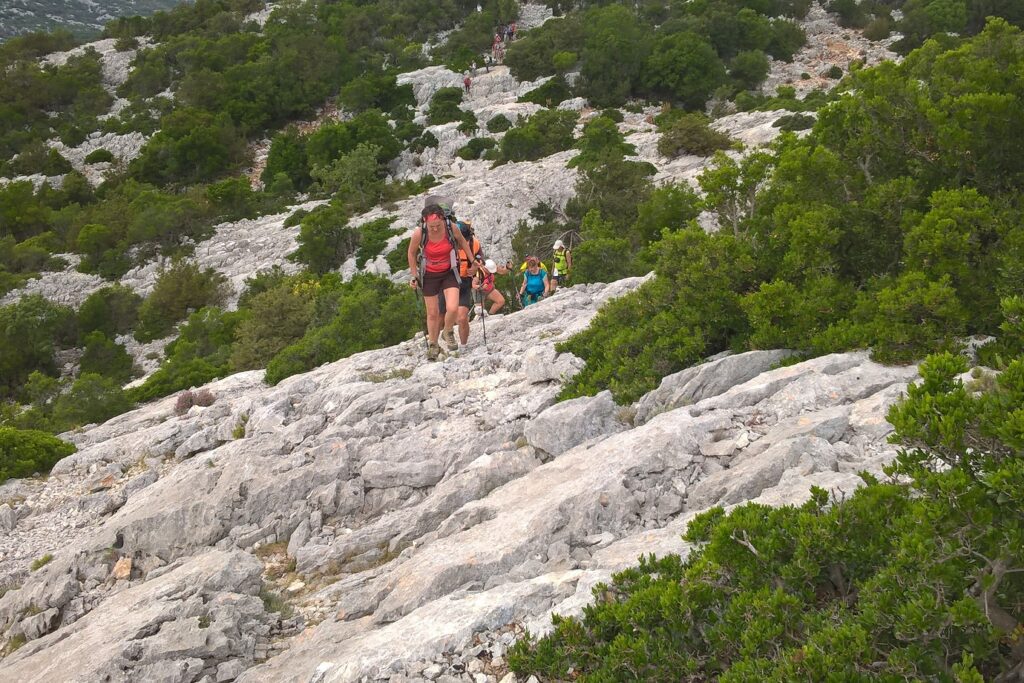 Groupe de randonneurs sur un sentier de roche encadré d'arbres