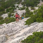 Groupe de randonneurs sur un sentier de roche encadré d'arbres