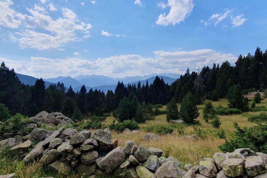 paysage de montagne avec un muret fait de pierre au premier plan et une forêt dense à l'arrière de l'image