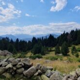 paysage de montagne avec un muret fait de pierre au premier plan et une forêt dense à l'arrière de l'image