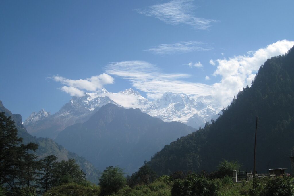 Paysage montagnard avec en fond des sommets enneigés et en premier plan des arbres