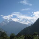Paysage montagnard avec en fond des sommets enneigés et en premier plan des arbres