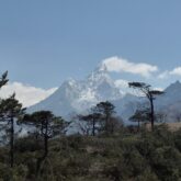 Paysage de montagne avec des arbres au premier plan et des sommets à l'arrière