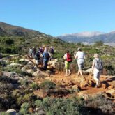 groupe de randonneurs sur un sentier en montagne en Crète avec un décor estival et de la végétation caractéristique de l'île