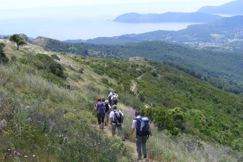 Groupe de randonneurs sur un sentier de l'île d'Elbe en Toscane, le sentier est recouvert de végétation et en fond on aperçoit la mer.