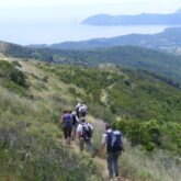 Groupe de randonneurs sur un sentier de l'île d'Elbe en Toscane, le sentier est recouvert de végétation et en fond on aperçoit la mer.