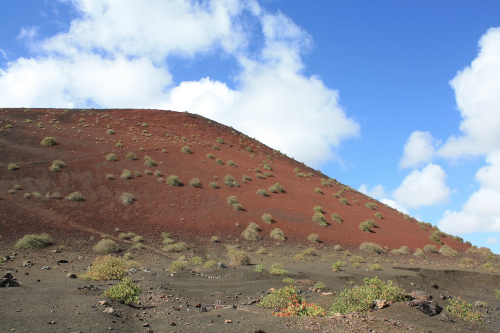 Paysage à Lanzarote avec de la terre de couleur rouge