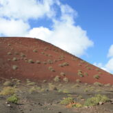 Paysage à Lanzarote avec de la terre de couleur rouge