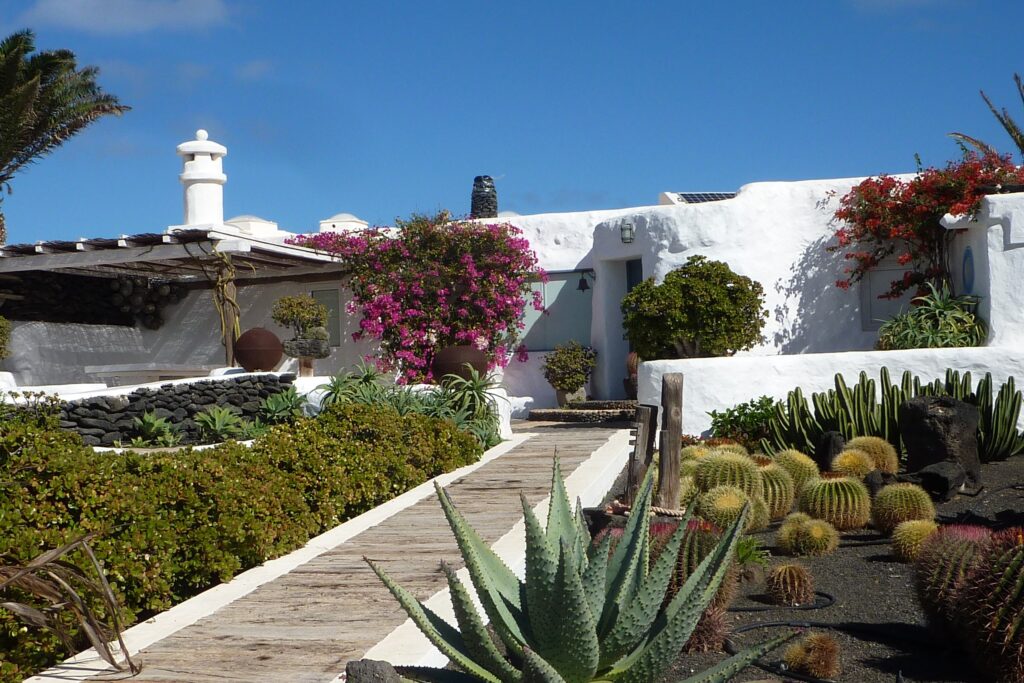 Maison typique de l'archipel des canaries avec de la végétation