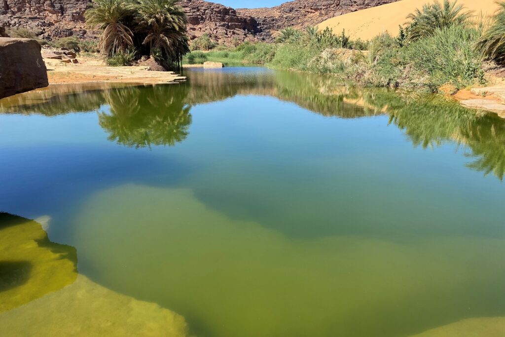 étendue d'eau au sein du désert à travers les dunes, avec des arbres autour