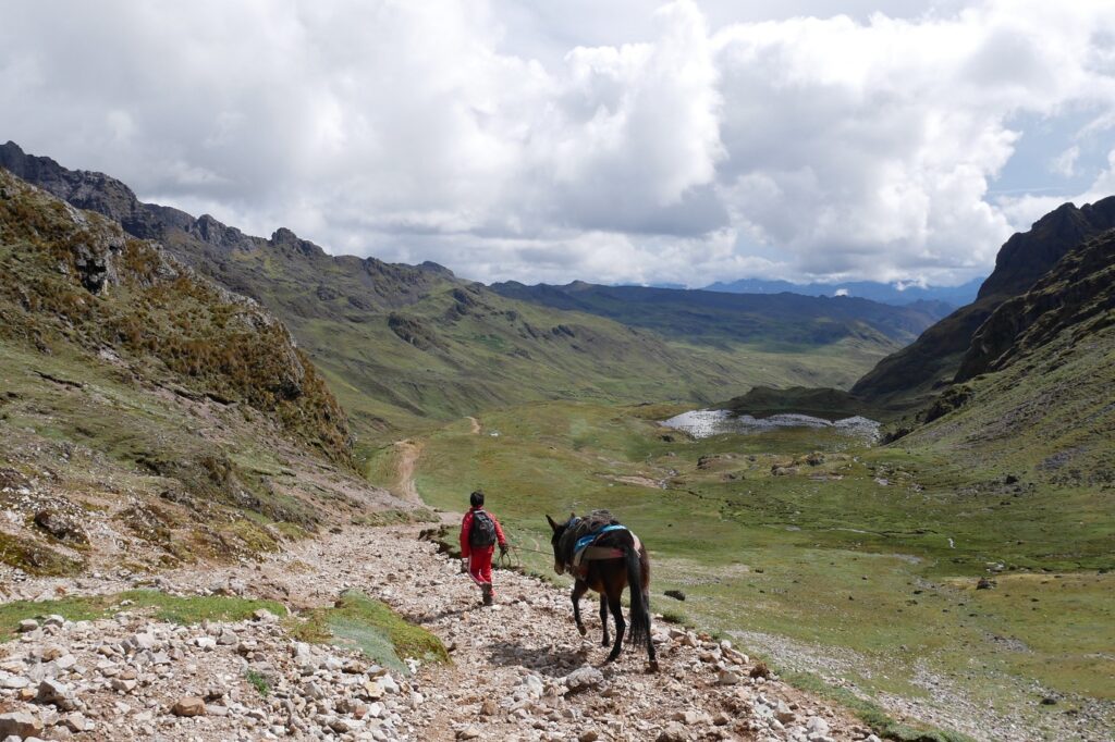 Paysage de montagne au Pérou avec un âne sur un chemin de pierre accompagné par quelqu'un, on aperçoit les montagnes