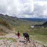 Paysage de montagne au Pérou avec un âne sur un chemin de pierre accompagné par quelqu'un, on aperçoit les montagnes