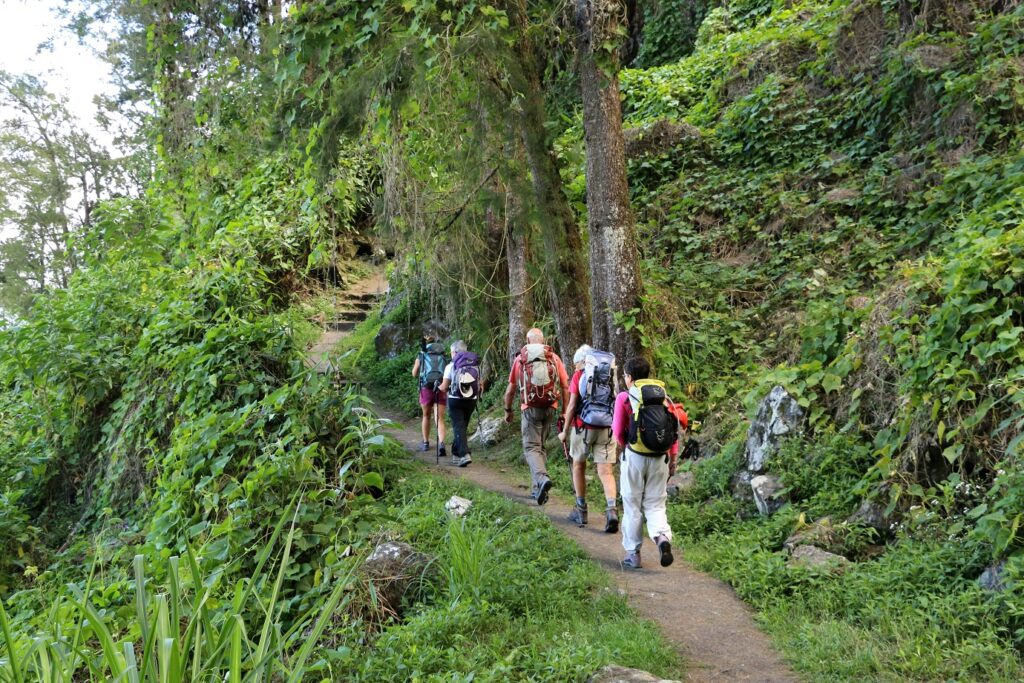 Groupe de randonneurs sur un sentier à travers la forêt