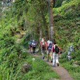 Groupe de randonneurs sur un sentier à travers la forêt