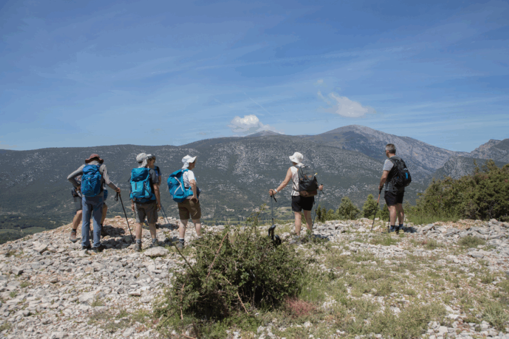 groupe de marcheurs en trek en train de regarder la vue depuis les montagnes