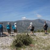 groupe de marcheurs en trek en train de regarder la vue depuis les montagnes