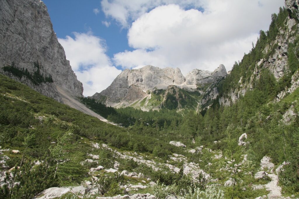 Paysage d'une vallée de montagne encadrée par des sommets, on a de la végétation au premier plan, paysage prenant place en Slovénie dans les Alpes juliennes