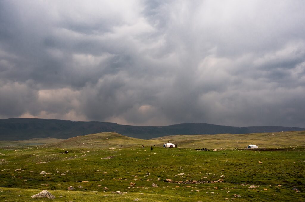 Paysage en Mongolie avec un troupeau de chèvres et une yourte