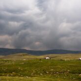 Paysage en Mongolie avec un troupeau de chèvres et une yourte