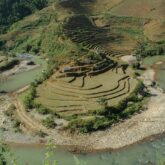 Paysage du Vietnam avec une terre avec des arbres encadrée d'un lagon
