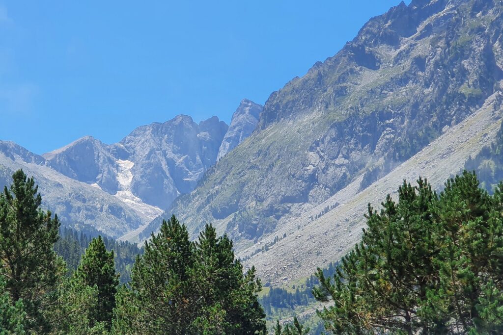 Paysage montagnard avec au premier plan la cime d'arbres et en arrière-plan des sommets encore enneigés malgré le temps estival