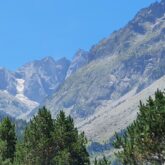 Paysage montagnard avec au premier plan la cime d'arbres et en arrière-plan des sommets encore enneigés malgré le temps estival