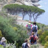 Groupe de randonneurs sur un sentier de l'île d'Elbe en Italie