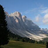 Paysage des Dolomites, ce paysage a été capturé depuis une plaine avec de l'herbe et comprenant des arbres, et en contre haut nous voyons des sommets aux couleurs grises