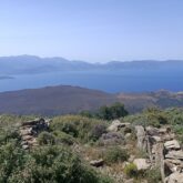 Paysage montagnard en Crète avec en fond la mer et au premier plan de la végétation