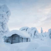 Paysage couvert de neige en Finlande, en Laponie
