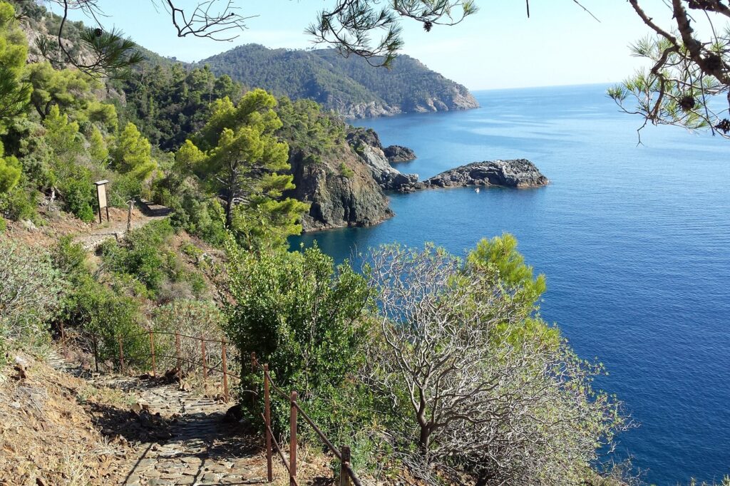 Sentier de randonnée à flanc de montagne en contrebas de la côte avec des arbres sur le sentier