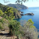 Sentier de randonnée à flanc de montagne en contrebas de la côte avec des arbres sur le sentier