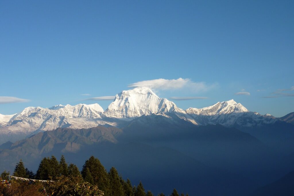 Paysage de montagne avec en fond des sommets enneigés et au premier plan une forêt