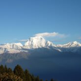 Paysage de montagne avec en fond des sommets enneigés et au premier plan une forêt