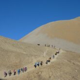 groupe de randonneurs en file indienne sur un sentier à flanc d'une montagne dans le massif des Annapurnas