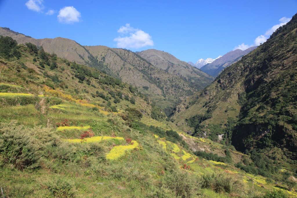 Paysage verdoyant au Népal